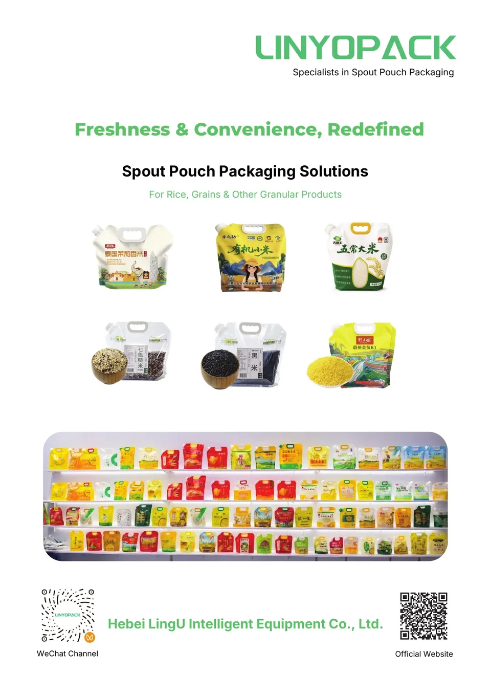 Cover of the supplied LINYOPACK machine brochure