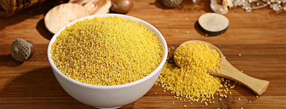 Foxtail millet material sample