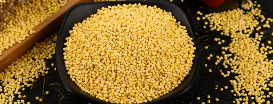 Proso millet material sample