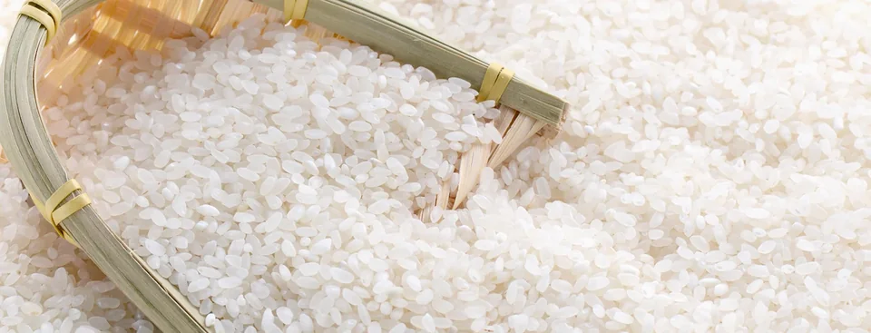 White rice material sample