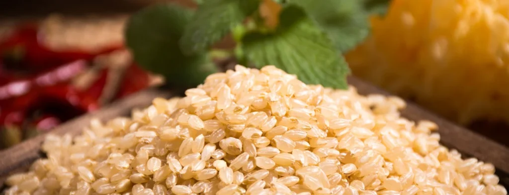 Brown rice material sample